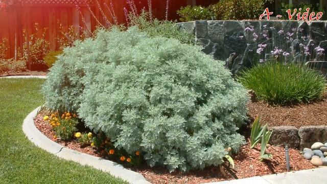 ?Ландшафтный дизайн садового участка Лучшие примеры / Best Garden Decorating Ideas / A - Video смотреть онлайн