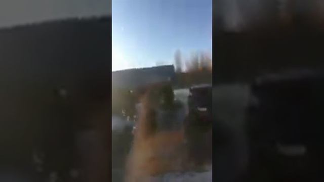 Медведь-форточник в Иркутской области смотреть онлайн