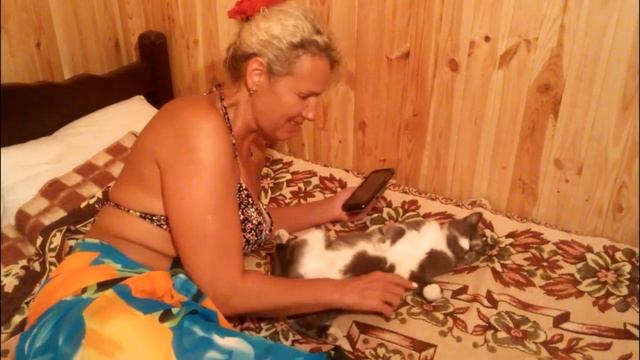 Кошка, которая НЕ ПРОПАДЁТ от скромности смотреть онлайн