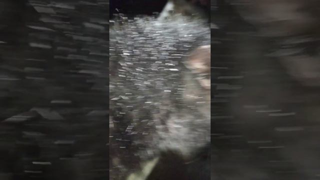 даже в холодный зимний вечер кот не уходит от своего хозяина и просит ласки смотреть онлайн