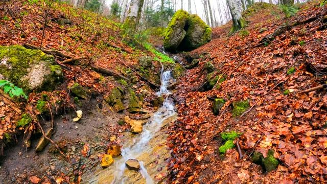 Псалом 5 Псалтырь Видео Библия смотреть онлайн