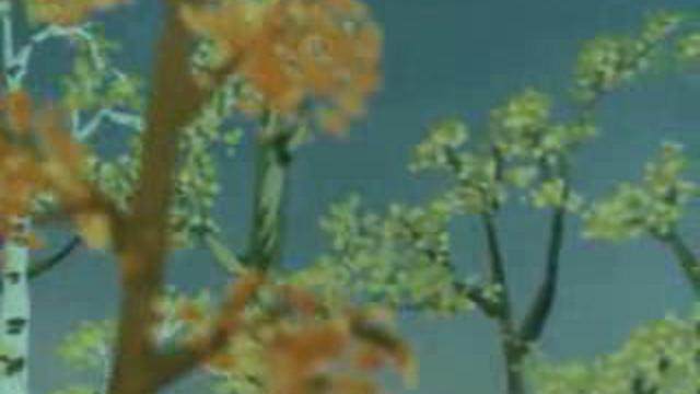 Далеко-далеко на юге