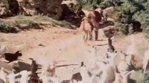 Шарманка  песня из х ф Белый пудель