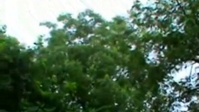 Brahms Violin Sonata, Op. 78, 3rd Movement, Allegro Molto Moderato смотреть онлайн