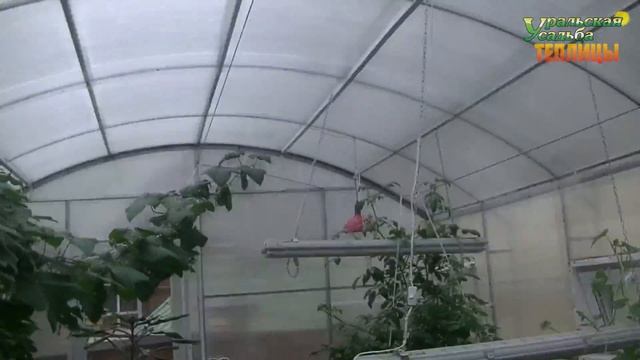 ЗИМНЯЯ ОРАНЖЕРЕЯ. ТЕПЛИЦА ПАВИЛЬОН. ДВОЙНОЕ ОСТЕКЛЕНИЕ СОТОВЫМ ПОЛИКАРБОНАТОМ. смотреть онлайн