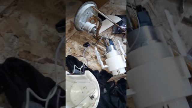 Газель двигатель 405 заводится и глохнет.