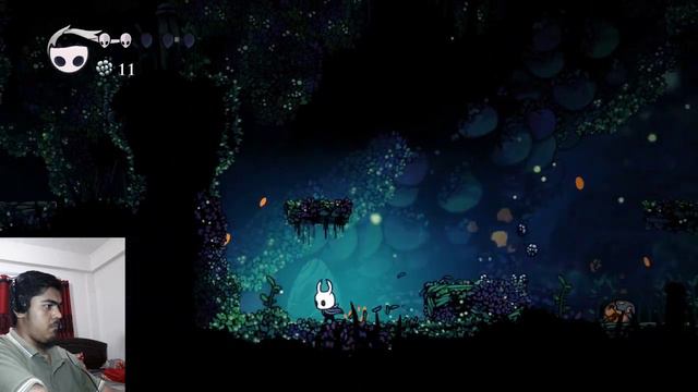 Hollow Knight 10th Day GAMEPLAY | LETS FREE A BUG смотреть онлайн