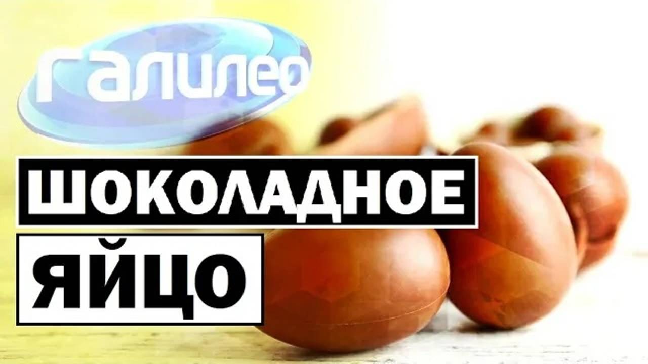 Галилео | 0113 🍫🥚 Шоколадное яйцо смотреть онлайн