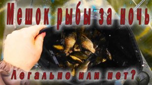 Рыбалка в диких озерах Сибири