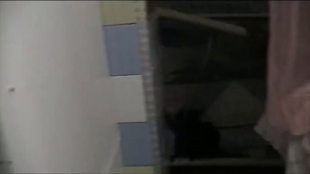 ассорти. закрываем персики на зиму в банки. смотреть онлайн