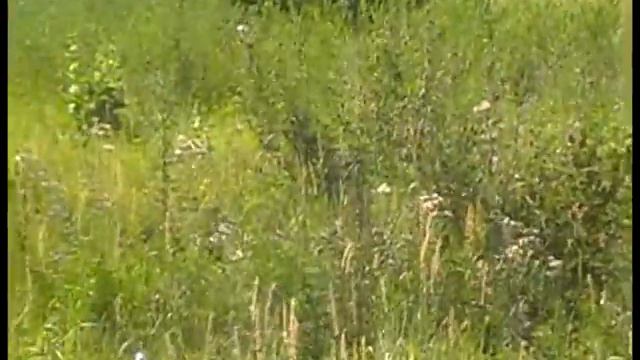 06 Шайтан труба и резиновая механа смотреть онлайн