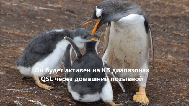 VP8BTU Фолклендские острова