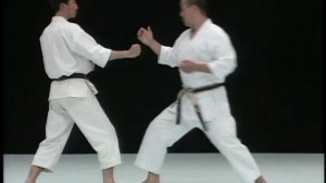 Лучшие техники каратэ шотокан от Рюдзи Сугита. Ч 1.