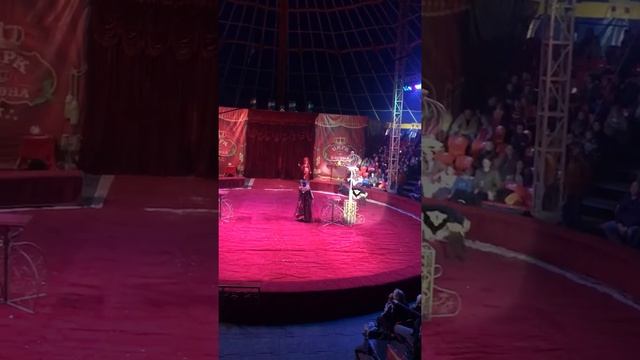 Сказки Востока цирк Корона смотреть онлайн