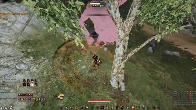 БДО, Воин, Традиции, Фарм тролей, 303 атаки, (3,7к под 2+агрис) смотреть онлайн