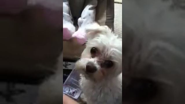 Dasha in Baby Bjorn swing смотреть онлайн