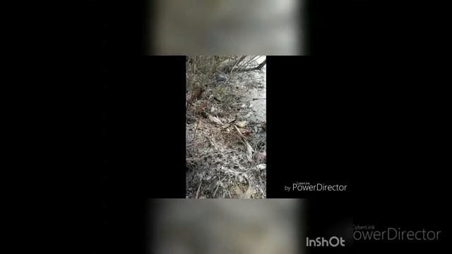 Срач в Пензе район маяка смотреть онлайн