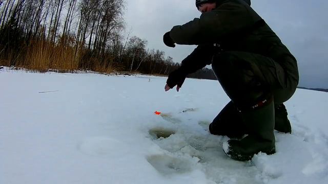 ТОЛЬКО ПЕРЕСТАВИЛ ЖЕРЛИЦЫ И НАЧАЛОСЬ Ловля щуки на жерлицы Рыбалка на разливах смотреть онлайн