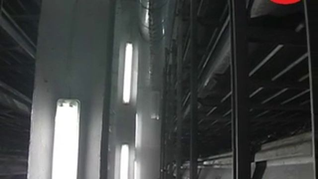 Выращивание шампиньонов в Молдавии смотреть онлайн