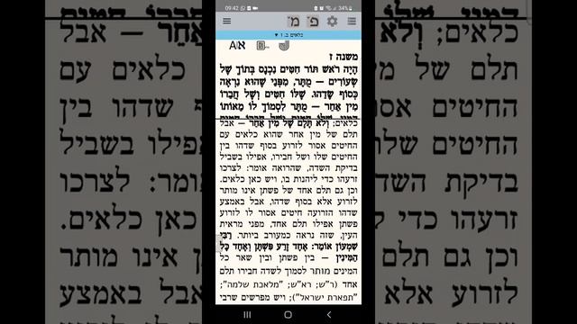 ЕЖЕДНЕВНЫЕ УРОКИ МИШНЫ c р. Йосефом Рафаэли. Урок от 12.08.2022 смотреть онлайн