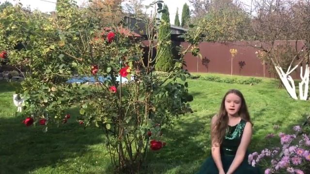 А. А. Фет "Осенняя роза" Виолетта смотреть онлайн