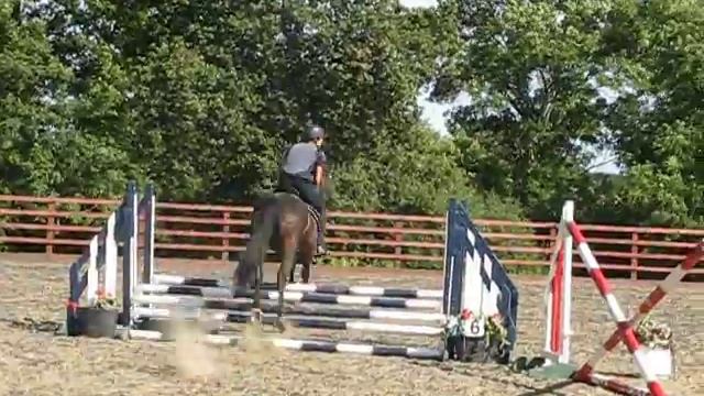 Zack Geraci 2nd Horse jumping lesson смотреть онлайн