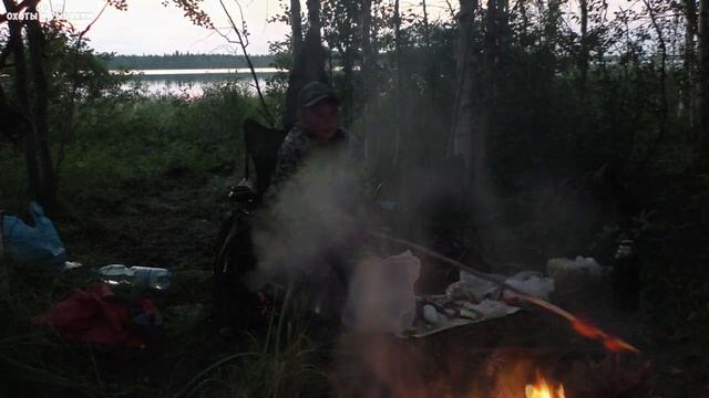 Рыбалка с сыном на озере в Республике Коми.Ловля щуки на жерлицы.Окунь на удочку.Уха из щуки. смотреть онлайн
