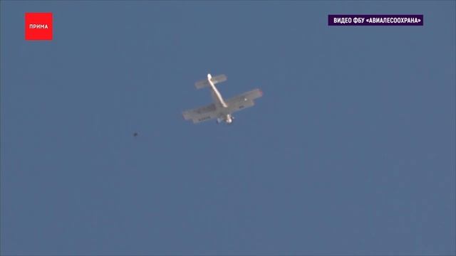 Прима тв ТК 22 февраля 2024
Впервые в Красноярске прошли учения Авиалесоохраны смотреть онлайн