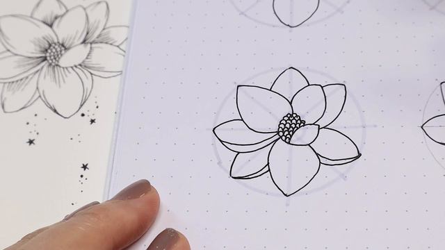 How To Draw The Magnolia Flower | Beginner Friendly смотреть онлайн
