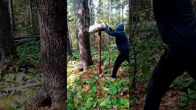 Как добывают кедровый орех 2022г. смотреть онлайн