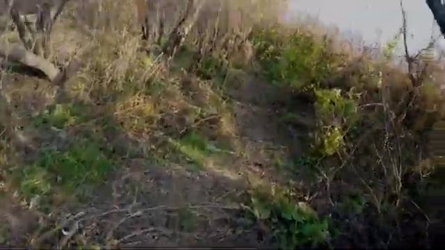 ОХОТА НА ГОРЛИЦУ С СОБАКОЙ ОБУЧЕНИЕ ЩЕНКА РУССКИЙ ОХОТНИЧИЙ СПАНИЕЛЬ. смотреть онлайн