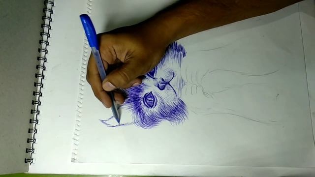 Cat Drawing | Pen Sketch | FORT 20 - 20 смотреть онлайн