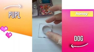 ?Как изменилась НАТУРАЛКА для БУМАЖНЫХ СОБАК!? **на протяжение 10 месяцев**