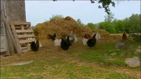 Sarah's House - Sizzle Reel