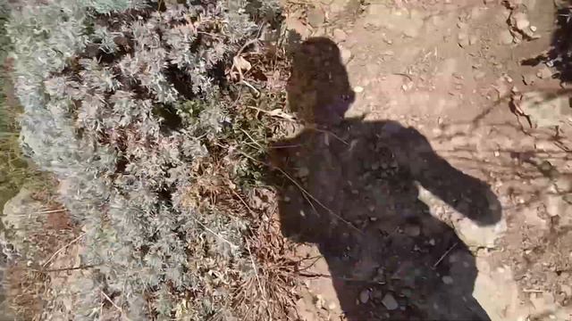 ОТ ПОДНОЖЬЕ ДО ВЕРШИНЫ!ГОРА ДИМЕРДЖИ"Я скоро у***" смотреть онлайн