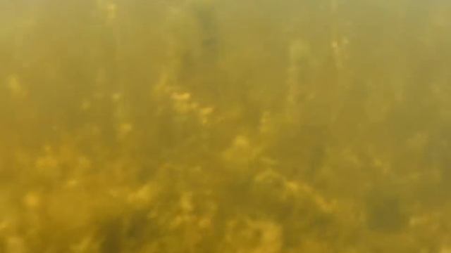 GOPR0196 смотреть онлайн