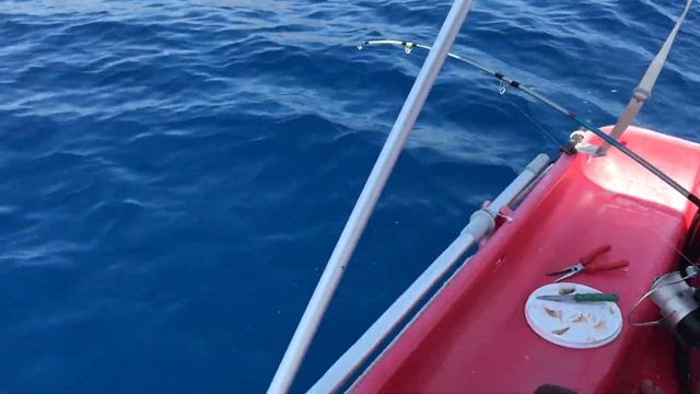 Рыбалка в Греции на рыбу - кролик Fishing in Greece. Fish Fugue смотреть онлайн