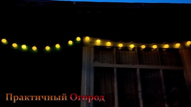 Хватит с меня огорода, пора украшать дом садовой гирляндой на солнечной батарее! смотреть онлайн