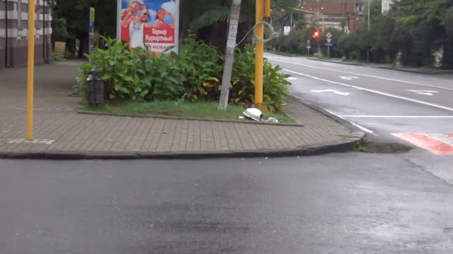 18 ОКТЯБРЯ 2014.АБХАЗСКИЙ ЛЁТЧИК ПРИЗЕМЛИЛСЯ ВОЗЛЕ БОТАНИЧЕСКОГО САДА.