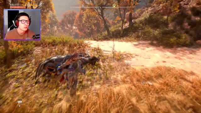 ДАВАЙ ИГРАТЬ! HORIZON FORBIDDEN WEST! ЗАЧИСТКА СВЕТА ПУСТОШИ! ЧАСТЬ 5! смотреть онлайн