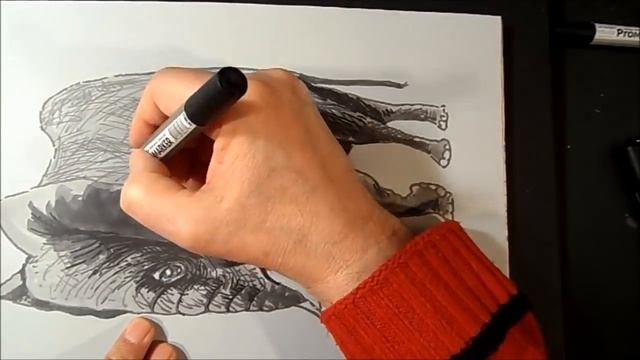 Drawing 3D Elephant - How to Draw 3D Elephant on Paper смотреть онлайн