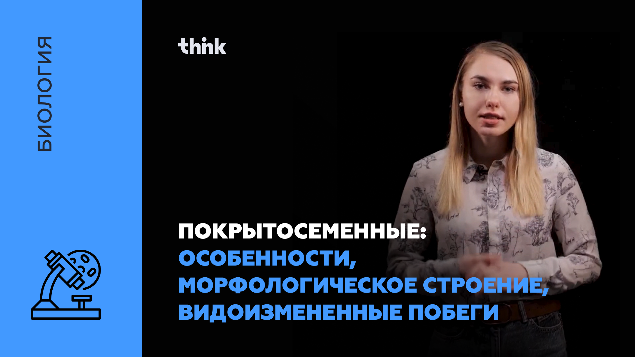 Покрытосеменные: особенности, морфологическое строение, видоизмененные побеги | Биология