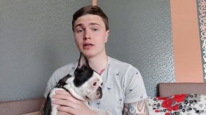 Моя собака  Бостон-терьер. Отзыв о породе ?