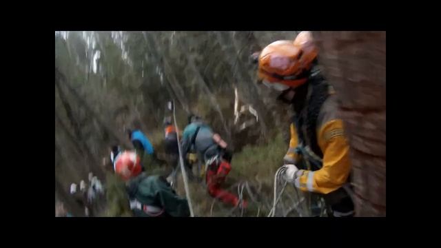 Вятский лось 2013 v3 смотреть онлайн