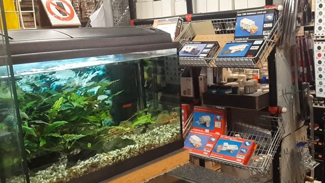 Магазин сборных моделей в Праге смотреть онлайн