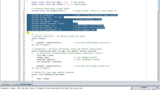 10 Special Java OOP: the Puppy class (yes, this is a long lecture!) смотреть онлайн