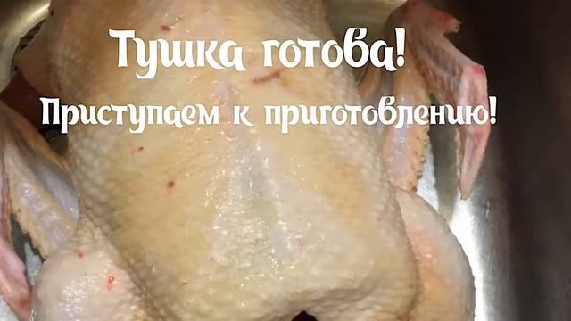 Йога для Гибкости и Силы