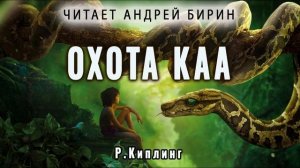 Охота Каа | Редьярд Киплинг | Читает Андрей Бирин
