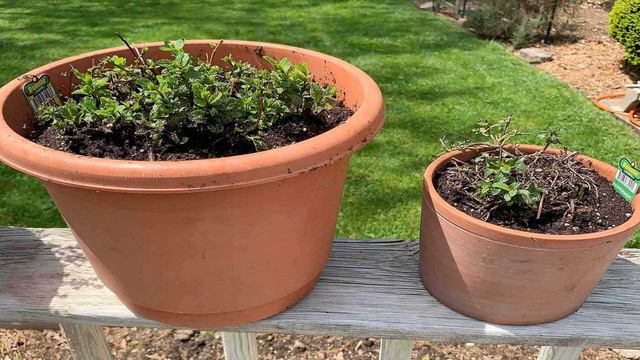 Ответчик-чудо