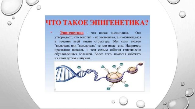 Питание пожилых (5 часть) смотреть онлайн
